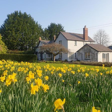 Lower House B&B Adforton Leintwardine Luaran gambar