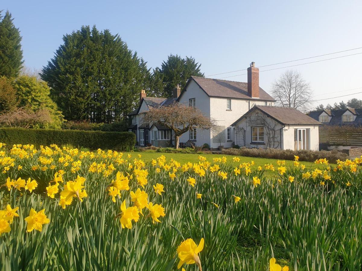 Lower House B&B Adforton Leintwardine Luaran gambar